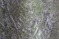 Oldham fibreglass roof work